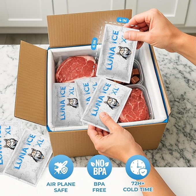 Dry Ice Packs for Shipping XL - Long Lasting ice Packs - 24+ Hour Freeze Power - BPA Free - 60 Pack Bulk 30 lb – Hielo Seco - Reusable Gel Bricks for Food