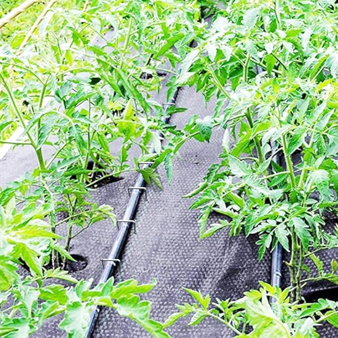 8 Gauge Ground Staples 8 Inch Landscape Staples 16Pack Metal Lawn Ground Barrier Cover Wire Heavy Duty U Sod Stakes Pins