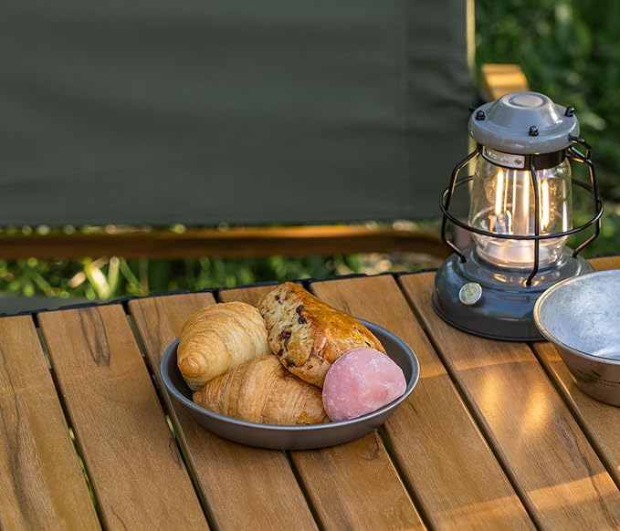 Boundless Voyage Titanium Camping Plate Dishes Saucer Lightweight Round Dinnerware Set Stackable Serving Plates Pasta Plates Travel Outdoor Home Kitchen Tableware Set Ti1116T