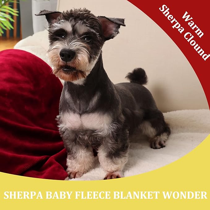 NANPIPER Baby Sherpa Blanket,Warm Toddler Throw Blanket,Soft Newborn Fleece Blanket for Winter (Wine Red,30x40 inches)