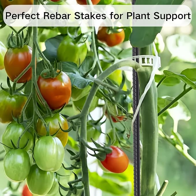 Rebar Stakes 36 Inch 16 Pack Heavy Duty Steel Ground Anchors 1/2 Diameter Straight Metal Stakes Landscape Timber Spikes with Chisel Point End for Plant Support, Concrete Form, Black