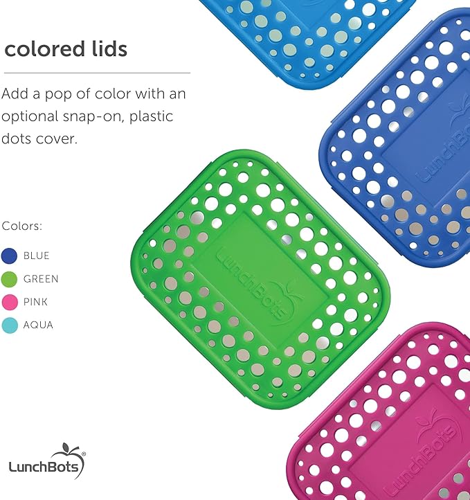 LunchBots Small Protein Packer Bento Box - Extra Small Divided Stainless Steel Snack Container - 4 Sections for 1-2oz of Nuts, Meat, Cheese, Finger Foods - Dishwasher Safe - Stainless Lid