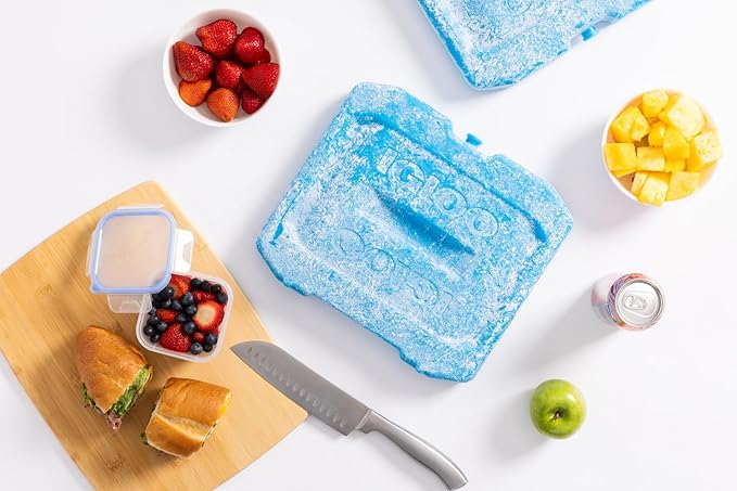 Igloo Maxcold Ice Block