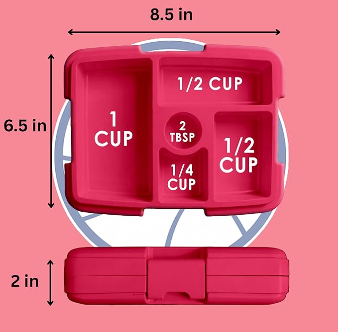 FOCO NBA Unisex-Adult Officially Licensed 2-Tone Big Logo Team Color Basketball Leak Proof 5 Compartment Bento Lunch Box - Philadelphia 76ers