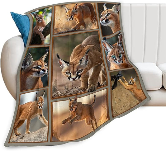 Caracal Blanket African Caracal Animal Lover Throw Blankets Gifts for Girls Boys Kids Soft Cozy Fleece Plush for Couch Sofa Bed 60"x50"