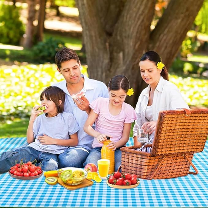 Extra Large Picnic Blanket Beach Blankets, Outdoor Foldable Waterproof Sand Mat for Beach Camping Hiking Travel Family Concerts Grass Park Music Festival Lawn Mats (Blue, 80x60inch)