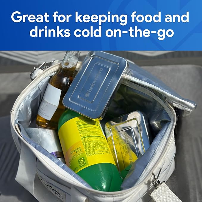 Below Zero Deluxe Stainless Steel Cooling Pack - Durable Ice Pack Lasts 48 Hours, Ice Pack for Bento, Lunch Bags, Coolers, Picnics, Camping, Beachgoers, Sporting Events - Longest Lasting