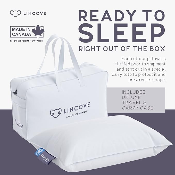 Lincove Microgel Travel Pillow - Global Recycled Standard Certified - Plush and Cozy Luxury Pillow to Support Head, Neck, While Sleeping on Airplanes, Cars, Hotels & Home - 13"x18"
