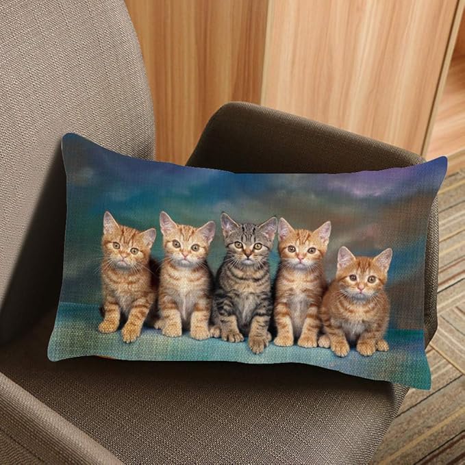 Throw Pillow Cover Kitten Series Cute Cat Decorative Pillow Case Home Decor 20x12 Inches Pillowcase