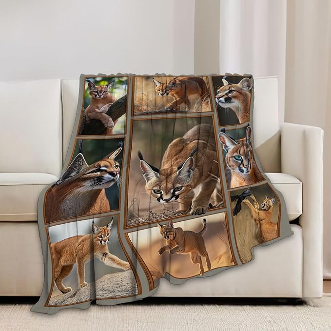 Caracal Blanket African Caracal Animal Lover Throw Blankets Gifts for Girls Boys Kids Soft Cozy Fleece Plush for Couch Sofa Bed 60"x50"