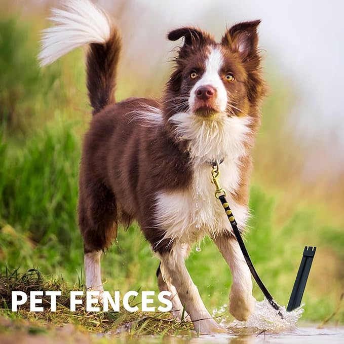 20Pcs 10Inch Metal Landscape Edging Stakes, No Installation for Corrugated Garden Landscape Edging/Terrace Board/Grass Barrier/Bender Board/Garden Liner/Tent pegs/Dog Stakes