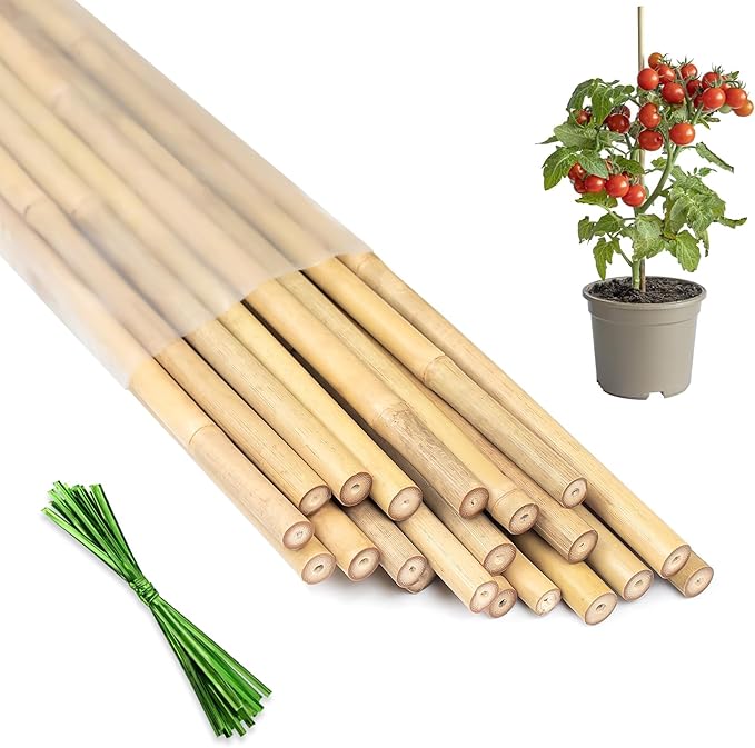 Plant Stakes 16inch, 20Pcs Natural Bamboo Sticks Garden Stakes, HAINANSTRY Plant Support Stakes for Indoor & Outdoor Plants, Orchid Tomato Vegetable Stakes for Garden