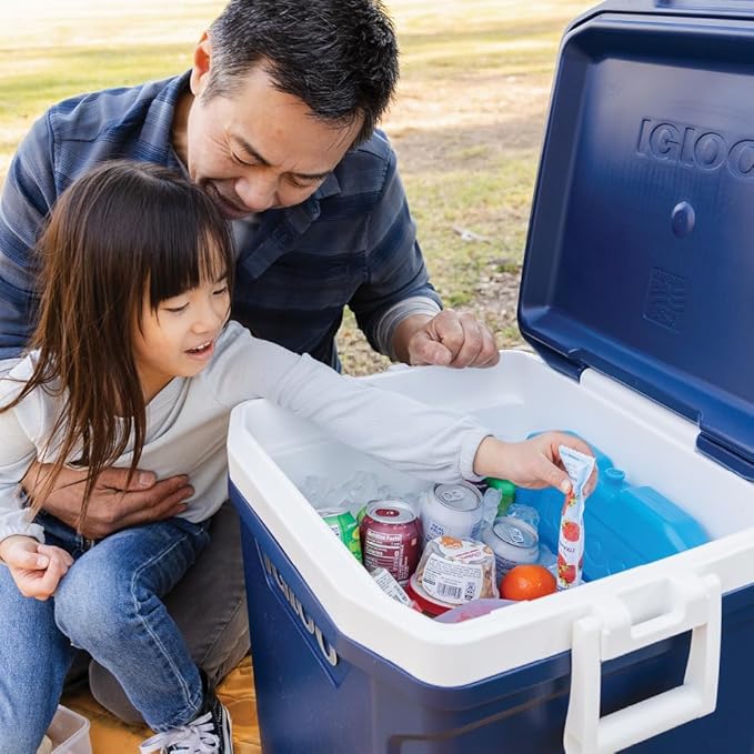 Igloo Maxcold Ice Block