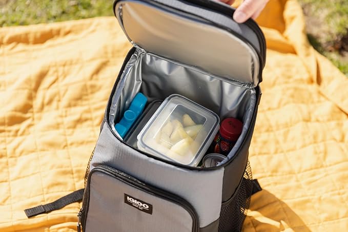 Igloo Maxcold Ice Block