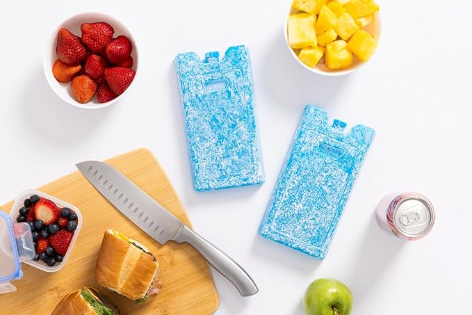 Igloo Maxcold Ice Block