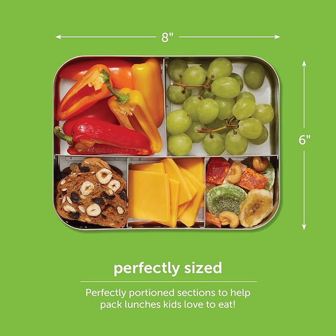 LunchBots Small Snack Packer Bento Box - Extra Small Divided Stainless Steel Snack Container - 2 Compartments for Fruits, Vegetables and Finger Foods - Dishwasher Safe – Stainless Lid