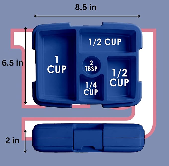 FOCO NFL Unisex-Adult Officially Licensed Team Color Stripe Primary Logo Football Leak Proof 5 Compartment Bento Lunch Box - New York Giants