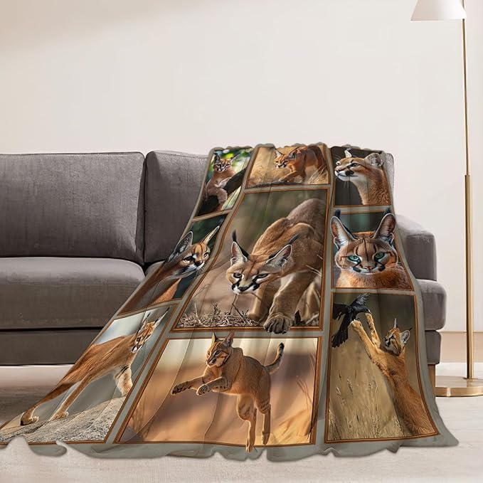Caracal Blanket African Caracal Animal Lover Throw Blankets Gifts for Girls Boys Kids Soft Cozy Fleece Plush for Couch Sofa Bed 50"x40"
