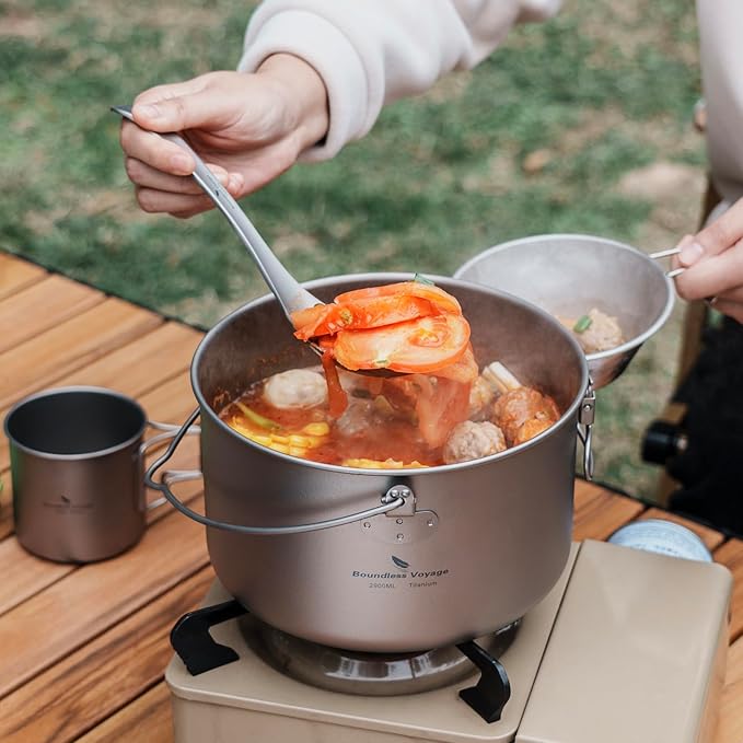 iBasingo Titanium Camping Pot with Lid 2.9L Ultralight Backpacking Cookware with Foldable Handle for Hiking, Picnic & Outdoor Durable Portable Metal Cooking Ti Hanging Pot Ti2045C