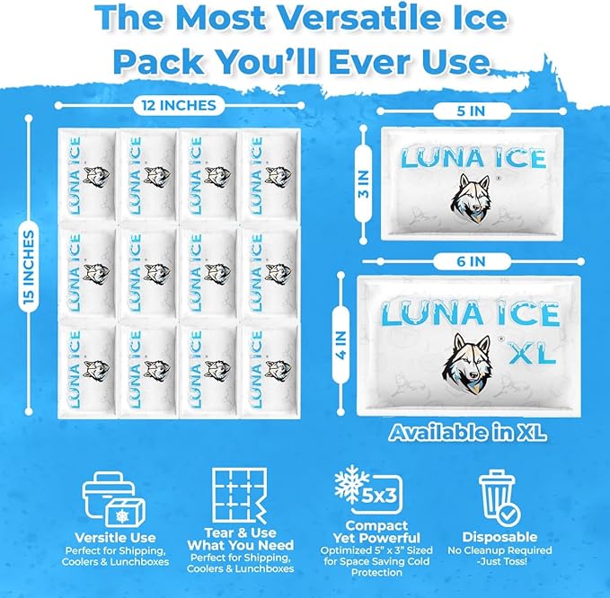 Dry Ice Packs for Shipping - Long Lasting ice Packs - 24+ Hour Freeze Power - BPA Free - 48 Pack Bulk 12 lb – Hielo Seco - Reusable Gel Bricks for Food
