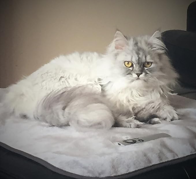 Mambe Silky Waterproof Throw for Protecting Furniture Bed Couch from Stains Caused by Dogs, Cats, Incontinence. Soft, Washable, Reversible. (Size Large 70x90 inches, Color Buff/Dove)