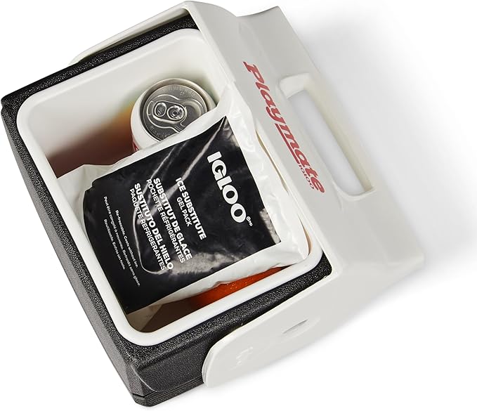 Igloo Maxcold Ice Block