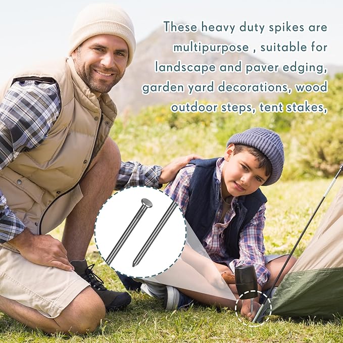 Nuenen 100 Metal Heavy Duty Stakes 12 Inch Landscape Anchoring Spikes Garden Edging Spikes for Artificial Turf Stakes, Paver Edging, Weed Barrier, Timber, Carpentry, Tent, Camping (Black)