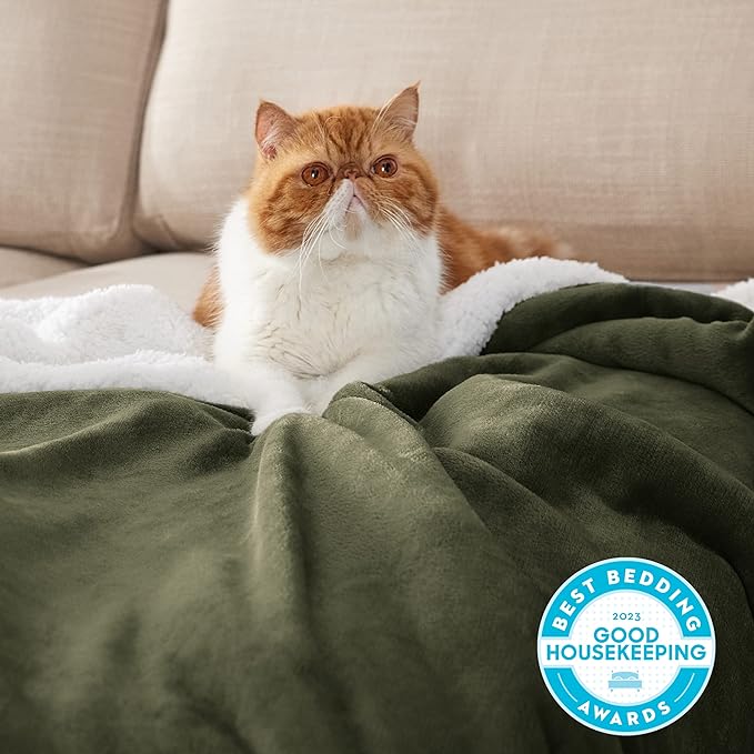 Bedsure GentleSoft Sherpa Fleece Throw Blanket for Couch - Thick and Warm, Soft Fuzzy Plush Throw Blanket for Winter, Olive Green, 50x60 Inches