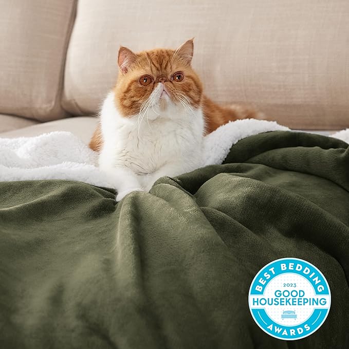 Bedsure GentleSoft Sherpa Fleece Blankets King Size for Bed - Thick and Warm, Soft Fuzzy Plush King Blanket for Winter, Olive Green, 108x90 Inches