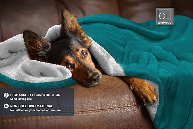 Comfort Lab Reversible Flannel Sherpa Throw Blanket - Elegant Fluffy Throw Blankets for Couch and Home Decor - Anti Pilling Non Shedding Cozy & Warm Fleece Throws - Kids/Pet (40" x 50") - Teal