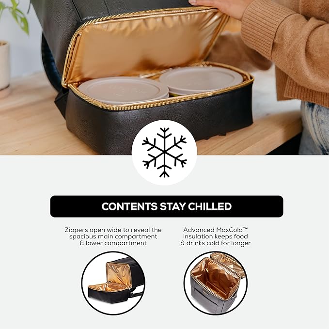 Igloo Premium Soft Sided Coolers | Luxe & South Coast Series | Insulated Cooler Bags