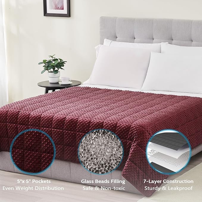 L'AGRATY Weighted Blanket - 40"x60" 10lbs Minky Dots Heavy Blanket with Glass Beads Soft Breathable for All-Season Summer Fall Winter Thick Comfort for Sleeping
