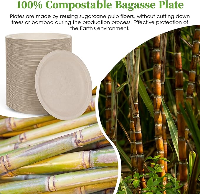 ECOLipak 6 Inch Disposable Compostable Small Paper Plates, 200 Pack Recycled Sugarcane Bagasse Biodegradable Heavy Duty Mini Dinner Appetizer Cake Dessert Plates for Party(Nature)