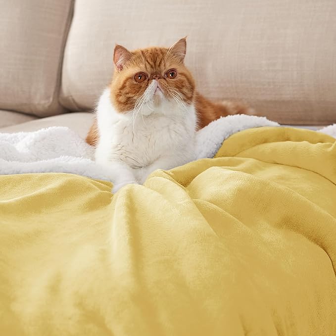 Bedsure GentleSoft Sherpa Fleece Throw Blanket Twin Size for Couch - Thick and Warm, Soft Fuzzy Plush Twin Blanket for Winter, Yellow, 60x80 Inches