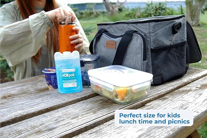 Cryopak ICEpak Large Hard Shell Reusable Ice Packs for Coolers and Lunch Box Use, Freezer Safe Gel Design, Professional Grade Cooling, Non-Toxic and BPA Free, Travel Accessories, Small (4 Pack)