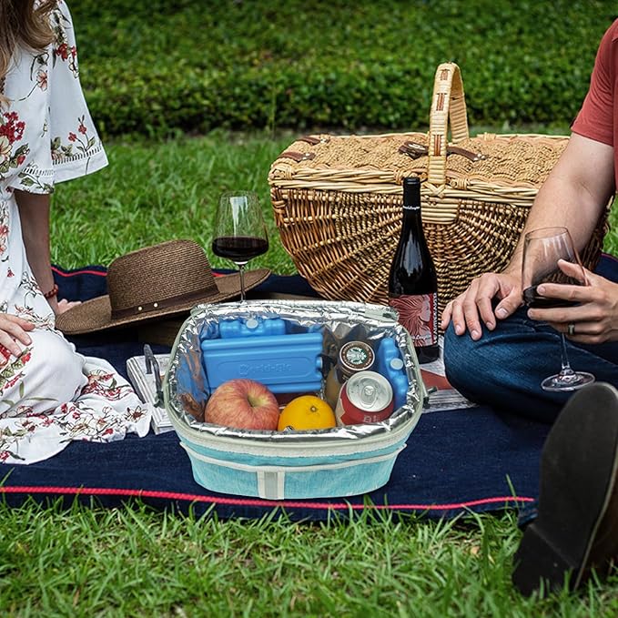 WORLD-BIO Reusable Ice Packs for Coolers & Lunch Boxes - Leakproof Quick Freeze Cold Packs for Picnics, Beach, Camping, Work - Long Lasting to Keep Food & Drinks Cold