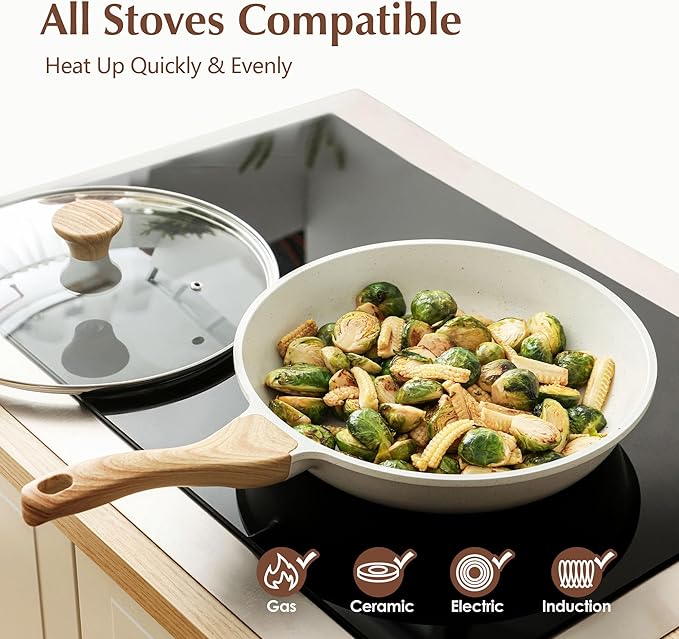 SENSARTE Nonstick Ceramic Frying Pan Skillet with Lid, 9.5 Inch Omelet Pan, Healthy Non Toxic Chefs Pan, Induction Compatible Egg Pan with Heat Resistant Handle, Free of Intentionally Added PFAS/PTFE