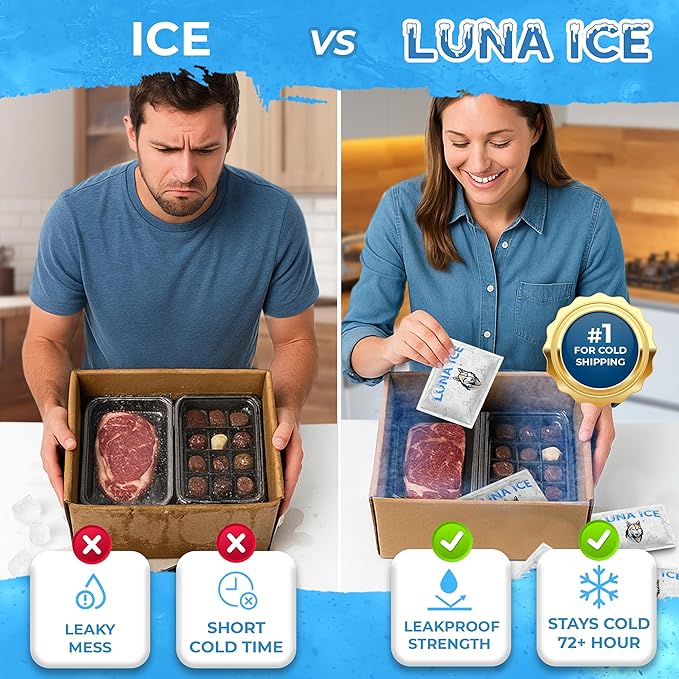 LUNA ICE Dry Ice Packs for Shipping - Long Lasting ice Packs - 24+ Hour Freeze Power - BPA Free - 600 Pack Bulk 150 lb – Hielo Seco - Reusable Gel Bricks for Food