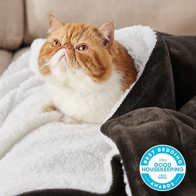 Bedsure GentleSoft Sherpa Fleece Throw Blanket for Couch - Thick and Warm, Soft Fuzzy Plush Throw Blanket for Winter, Brown, 50x60 Inches