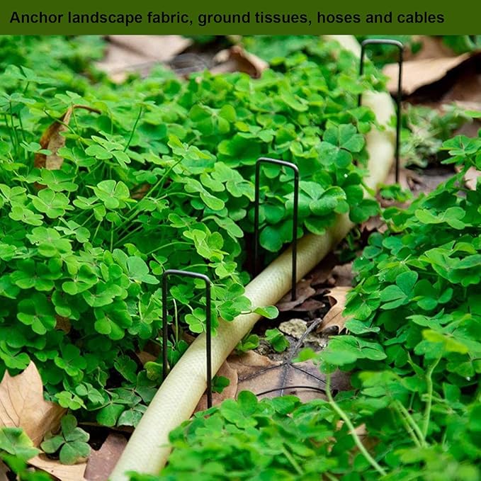 AAGUT 6 Inch 100 Pack Black Landscape Staples Tent Stakes 11 Gauge Heavy Duty Yard Stakes for Decoration Weed Barrier Fabric Ground Cover Irrigation Tubing Soaker Hose Chicken Wire