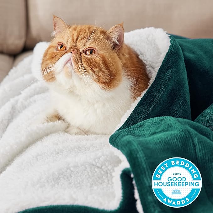 Bedsure GentleSoft Sherpa Fleece Throw Blanket for Couch - Thick and Warm, Soft Fuzzy Plush Throw Christmas Blanket for Winter, Forest Green, 50x60 Inches