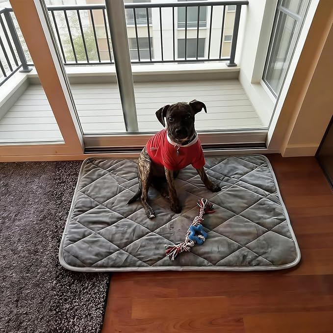 Thermal Reflection Pad for Dogs, Stop Joint Heat Loss – Restore Mobility & Comfort, Reflects Body Heat Back to Joints, No Electricity,Soft Sleeping Pad for Cold Floors, Washable (Blue, XL)