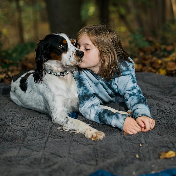 KAMMOK Field Blanket - Microfleece, Water Resistant, Portable, Durable, Indoor/Outdoor Camp Blanket (84 in × 50 in) - Cacti Print