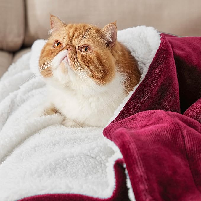 Bedsure GentleSoft Sherpa Fleece Blankets King Size for Bed - Thick and Warm, Soft Fuzzy Plush King Christmas Blanket for Winter, Red, 108x90 Inches