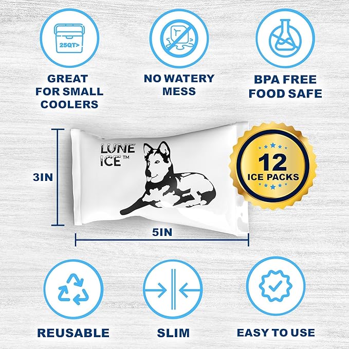 Dry Ice Packs for Shipping - Long Lasting ice Packs - 24+ Hour Freeze Power - BPA Free - 12 Pack Bulk 3 lb – Hielo Seco - Reusable Gel Bricks for Food