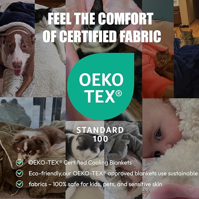 NANPIPER Sherpa Blanket for Couch, Warm and Lightweight Throw, Soft Fuzzy Plush Fleece for Winter, Plum Purple 50x60 Inches