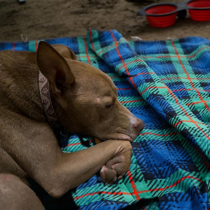 Outdoor Waterproof Blanket, Foldable Fleece Stadium Blanket for Outdoor Sports Event, Camping, Car, Pet, Picnics - Windproof, Wearable, Machine Washable 80" x 58" (Green Check)