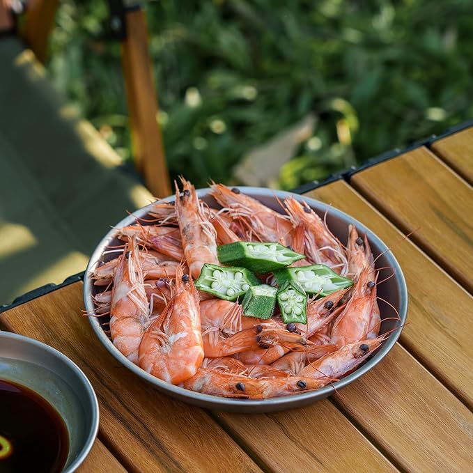 Boundless Voyage Titanium Camping Plate Dishes Saucer Lightweight Round Dinnerware Set Stackable Serving Plates Pasta Plates Travel Outdoor Home Kitchen Tableware Set Ti1116T