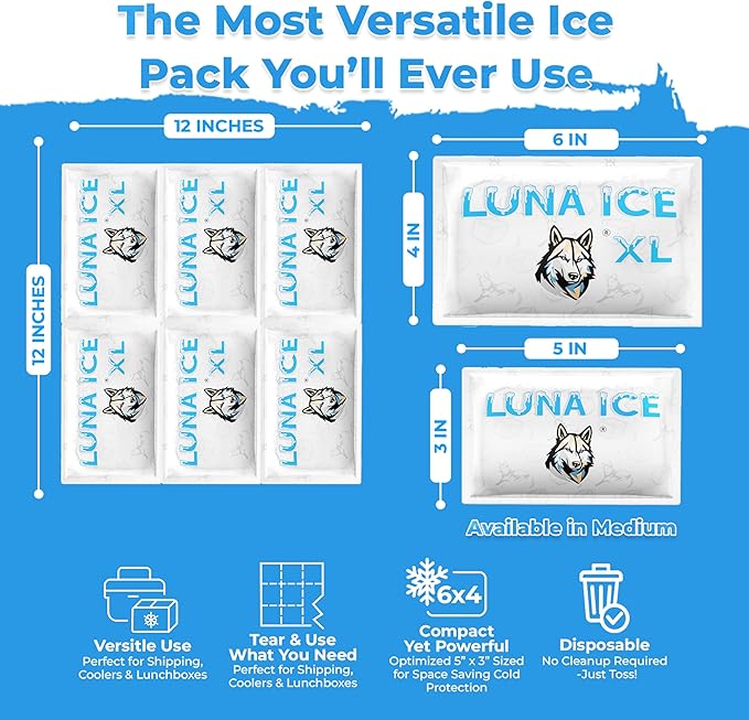 LUNA ICE Dry Ice Packs for Shipping XL - Long lasting ice packs - 24+ Hour Freeze Power - BPA Free - 6 Pack Bulk 3 lb – Hielo Seco - Reusable Gel Bricks for Food