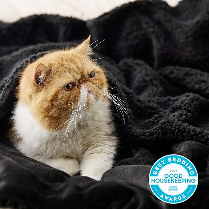 Bedsure GentleSoft Sherpa Fleece Throw Blanket Twin Size for Couch - Thick and Warm, Soft Fuzzy Plush Twin Blanket for Winter, Black, 60x80 Inches